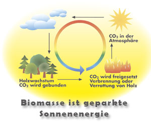 CO2-Kreislauf Biomasse